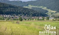 raiffeisen_trans_cernier_24_00351