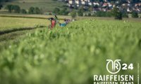 raiffeisen_trans_cernier_24_00379