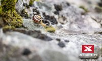 xterra_switzerland_samedi_24_00158