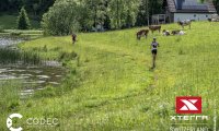 xterra_switzerland_3000_23_6_24_00105