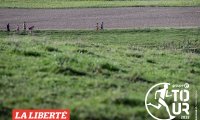 groupe_e_tour_lechelles_25_00188