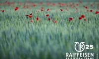 01_raiffeisen_trans_fenin_25_00145