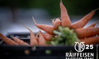 01_raiffeisen_trans_fenin_25_00481