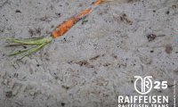 01_raiffeisen_trans_fenin_25_00483