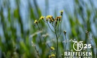 03_raiffeisen_trans_la_brevine_25_00068