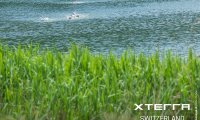 xterra_switzerland_sprint_21_05_25_00353