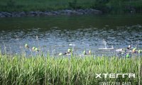 xterra_switzerland_sprint_21_05_25_00832