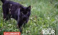 04_get_neirivue_09_26_00348