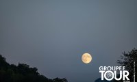 02_get_ursy_08_26_00952