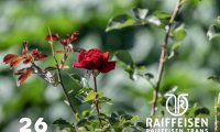 04_raiffeisen_trans_st_blaise_26_00098